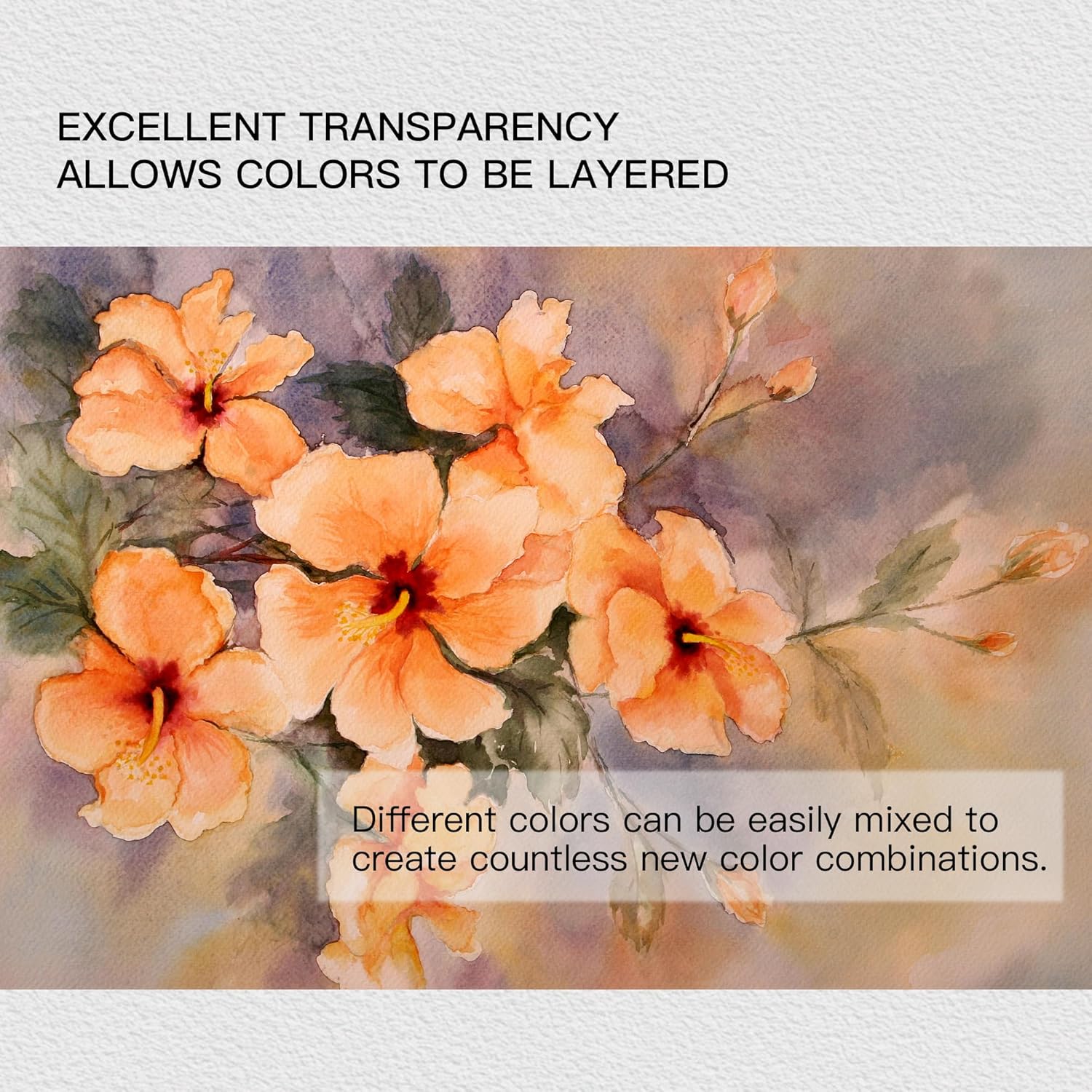 US Fulfillment - rubens Watercolor Paint Set 24 / 48 Color ( Style I / II / III / IV / IX / X ), Professional Pigment-Rich Water Colors for Adults, Premium Art Supplies Kit, Gift for Artists, Beginners & Students