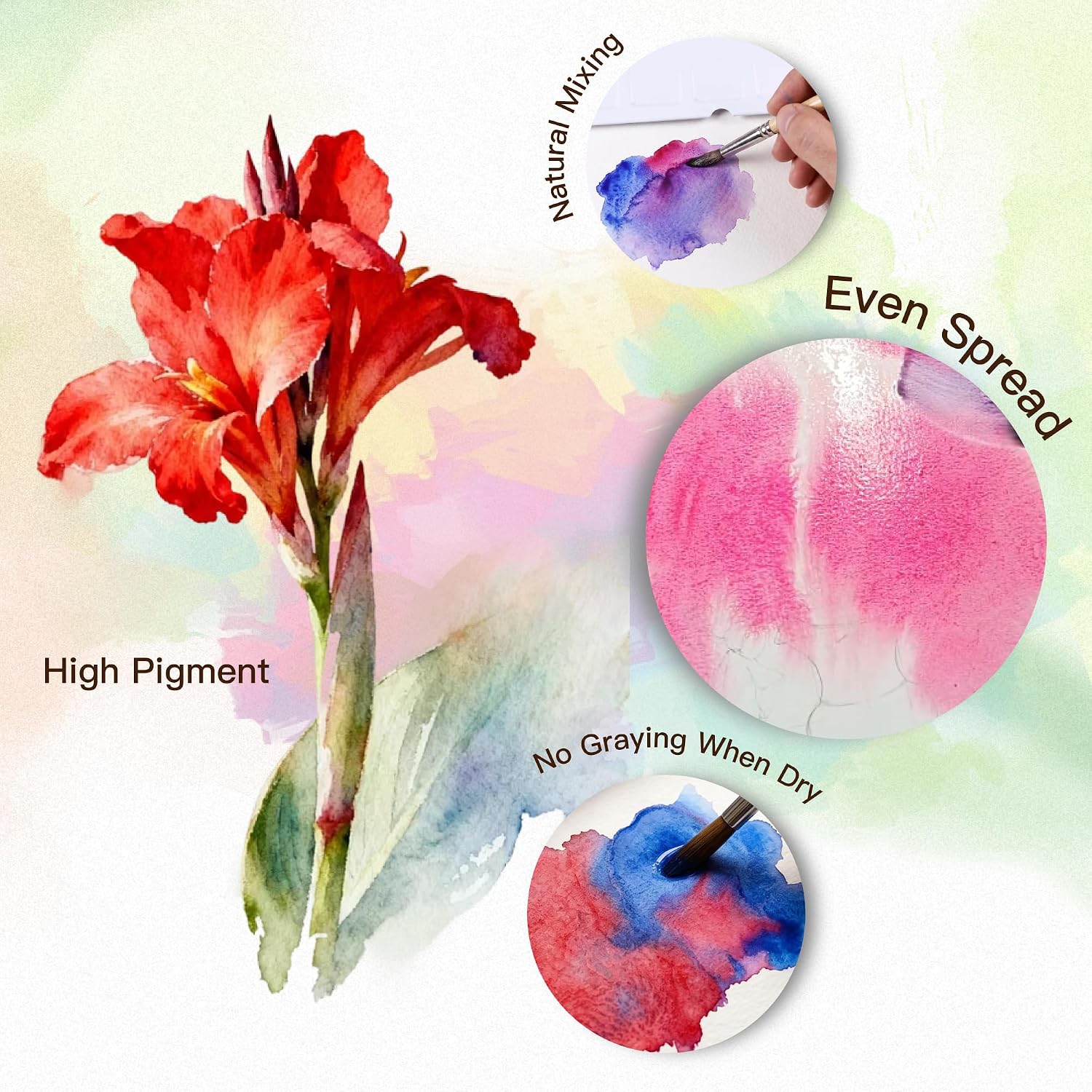 US Fulfillment - rubens Watercolor Paint Set 24 Colors, Solid Watercolor Set Half Pan Travel Watercolor, Removable Pans and Built-in Palette, Portable Metal Box with Metal Ring for Adult, Beginner, Artist