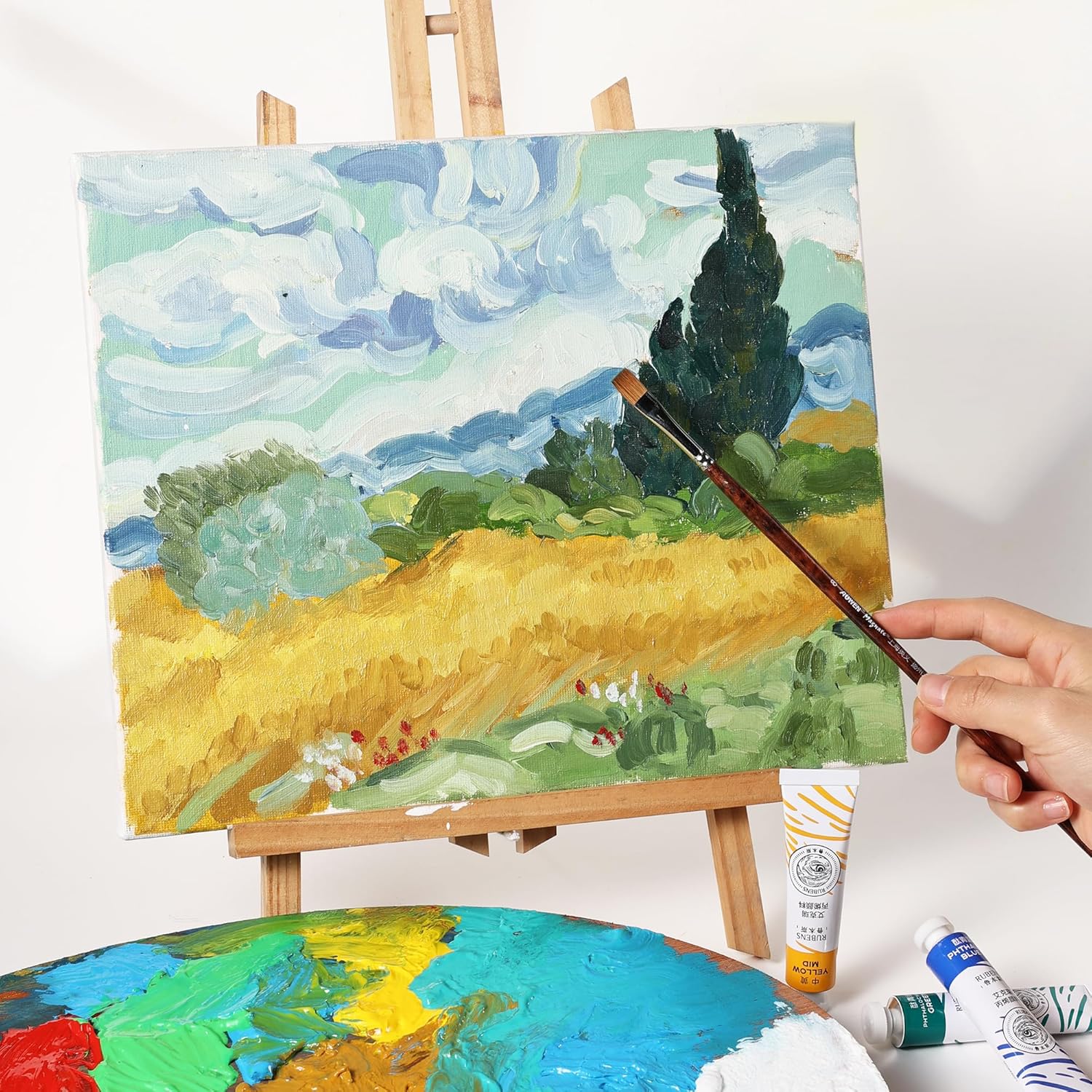 Paul Rubens Acrylic Paint Set 12 Colors 20ml Tubes Professional Hig