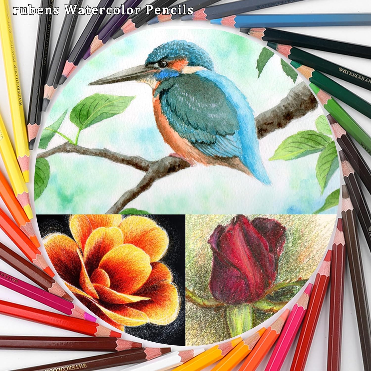 US Fulfillment - Paul Rubens Watercolor Pencils Set 36 / 48 Colors Soft Core Professional