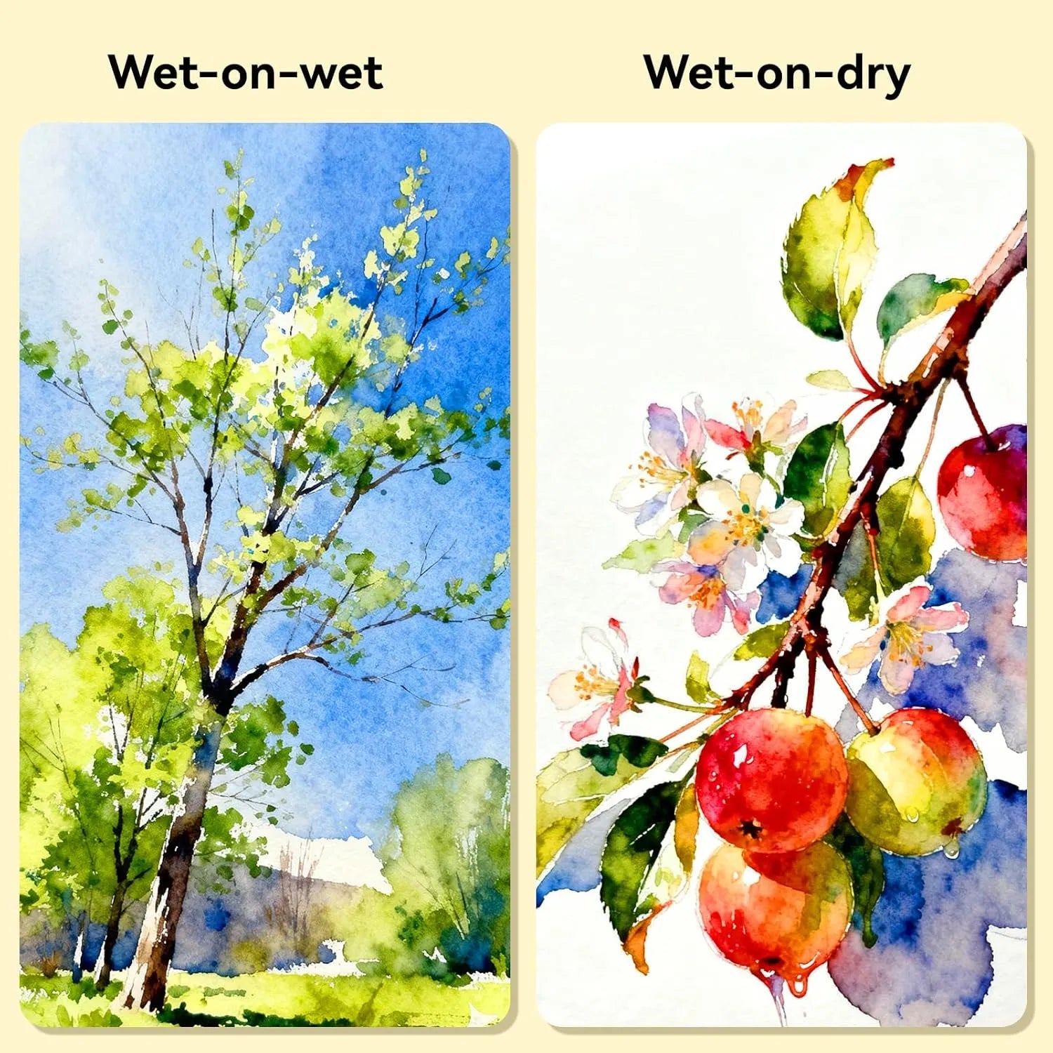 Paul Rubens Watercolor Paint Set Bundle Set 36 Colors
