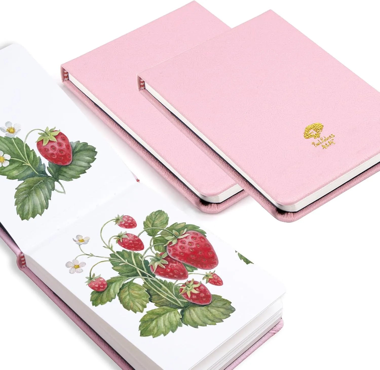 Paul Rubens Acid-Free Watercolor Paper 40 Sheets 100 Cotton (Hot Press Journal)