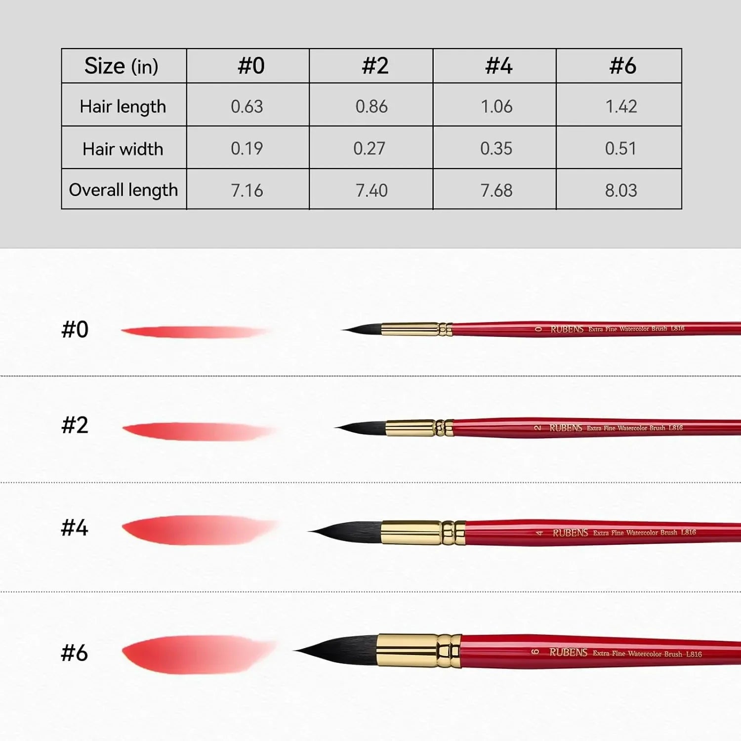 Paul Rubens 24 Vivid Floral Colors Watercolor Paint 0 2 4 6 Synthetic Squirrel Hair Paint Brushes kit