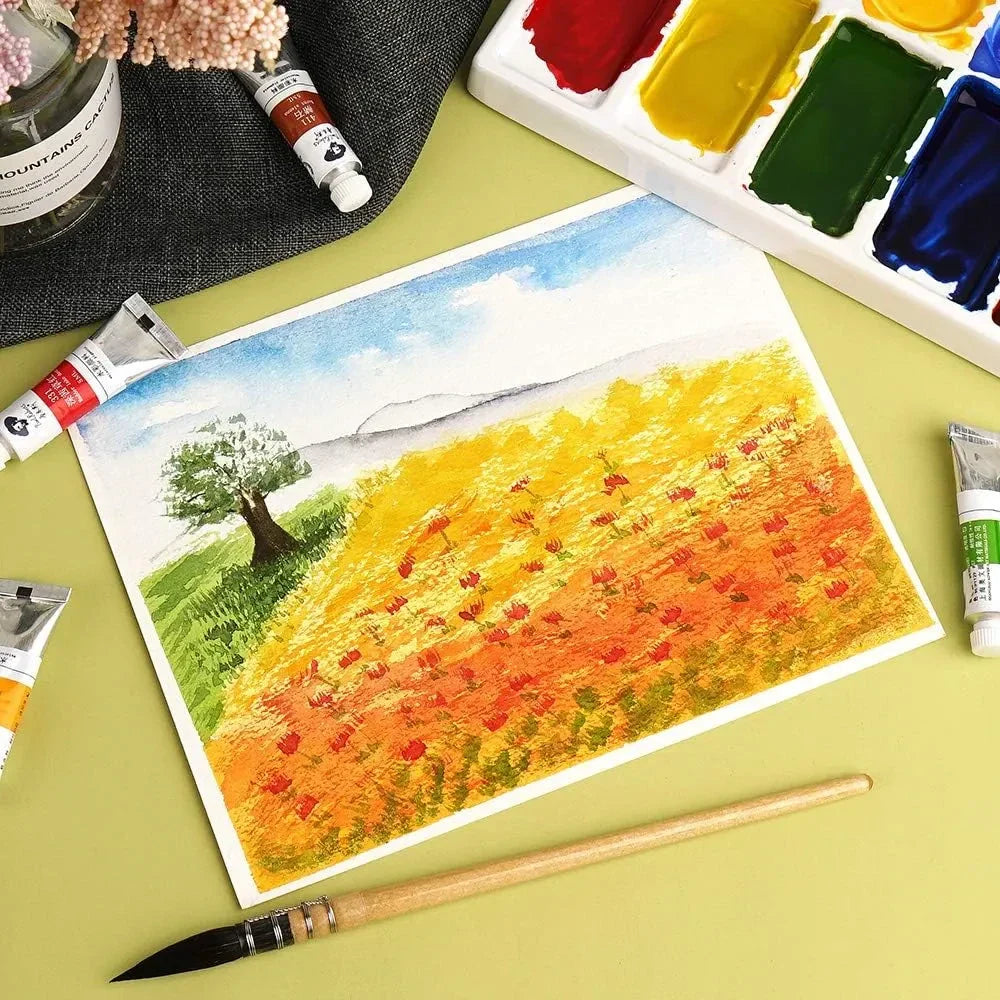 Paul Rubens Watercolor Paint (Cold Press)