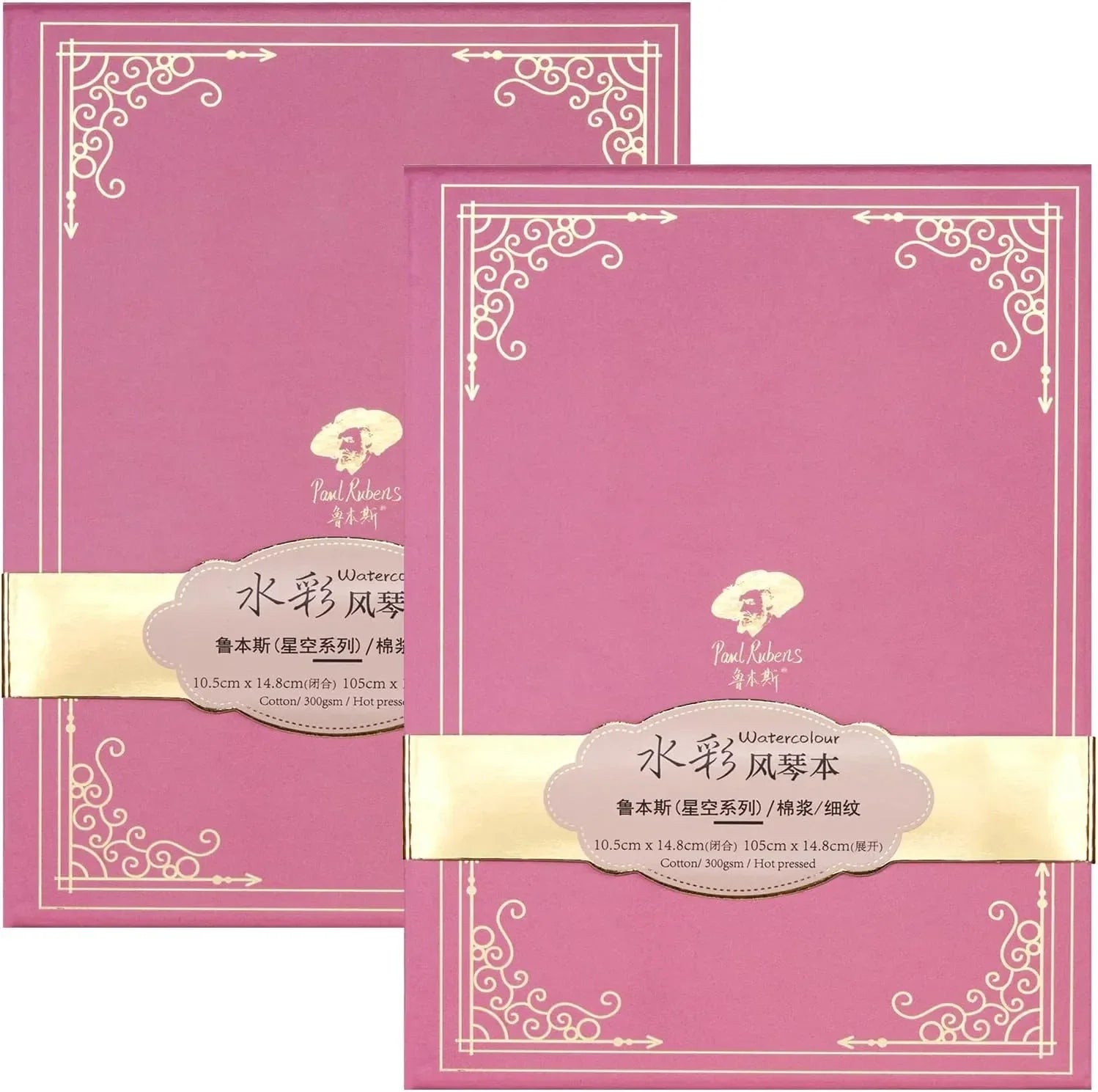 Paul Rubens Pink Organ Style Watercolor Journal